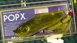 Megabass POP X ウィンディーサイドコラボ 134404504.jpg?cmsp_timestamp=