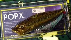 Megabass POP X ウィンディーサイドコラボ 完全限定 メガバスギャラリー オープン記念カラー (POP-X セット