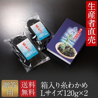 【贈答用】【2024年新乾燥わかめ】鳴門 糸わかめ 120g× 2個セット - 山畠海産