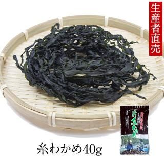 わかめ 乾燥わかめ 国産 糸わかめ 40g 鳴門海峡 鳴門わかめ 徳島 わかめ 乾燥わかめ 国産 糸わかめ 40g 鳴門海峡 鳴門わかめ 徳島