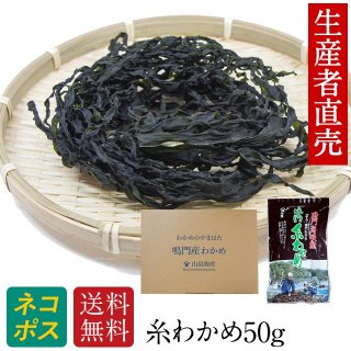 わかめ 乾燥わかめ 国産　糸わかめ 50g 鳴門海峡 鳴門わかめ 徳島 漁師が育てた鳴門海峡産 ワカメ 国産わかめ 海藻 美味しい物 - 山畠海産