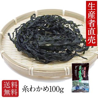 わかめ 乾燥わかめ 国産 糸わかめ100g 鳴門海峡 鳴門わかめ 徳島 漁師