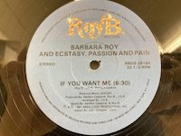 Barbara Roy and Ecstasy Passion and Pain / If You Want Me 