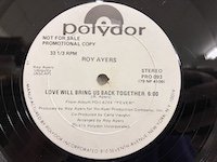 Roy Ayers / Love will Bring Us Back 