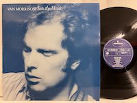 Van Morrison / into the Music 
