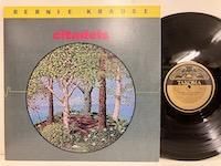 Bernie Krause Citadels of Mystery レコード Bernie Krause – Citadels Of Mystery – Vinyl (Terre Haute