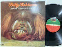 Billy Cobham / A Funky Thide of Things 