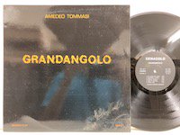 Amedeo Tommasi / Grandangolo 