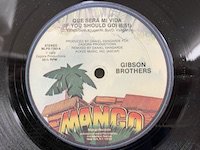 Gibson Brothers / Que Sera Mi Vida 