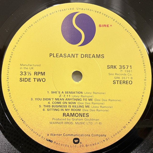 ラモーンズ RAMONES レコード LP THE LAST SHOW - レコード
