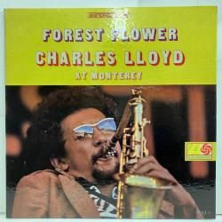 Jazz - バンブーミュージック レコード 通販 買取