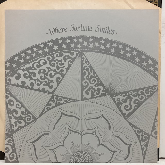 John Surman John McLaughlin / Where Fortune Smiles Dnls3018 :通販 ジャズ レコード 買取  Bamboo Music