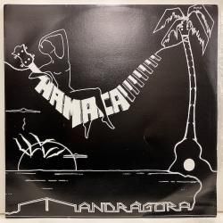 Prog Rock - バンブーミュージック レコード 通販 買取