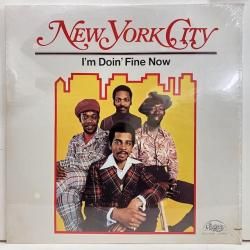 Soul/Disco - バンブーミュージック レコード 通販 買取