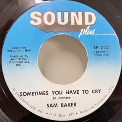 Sam s Hues LPレコード IMG_5919_51caa61e-cf59-444f-