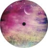 MASANORI NOZAWA / Tomi Chair - Four Perpetual Waves EP (incl. The Backwoods Remix)