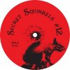 Secret Squirrel - Secret Squirrels #12