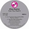 Chez Damier - Can You Feel It