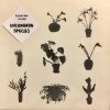 V.A. - Uncommon Species