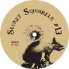 Secret Squirrel - Secret Squirrels #13