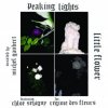 Peaking Lights - Little Flower