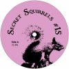 Secret Squirrel - Secret Squirrels #15
