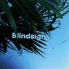 Jonny 5 - Blindsign