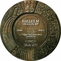 良質ディープハウス！Hallex M - Oggun EP 12inch X-Plus 411-PSYG01T-WLD Godzilla: Toho Large Kaiju Series