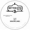 Bitter End - Vibrating James