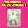 Gboyega Adelaja - Colourful Environment