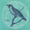 Genius Of Time - Peace Bird EP