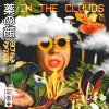 Drugface - In The Clouds