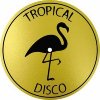 Various Artists - Tropical Disco Records Vol. 10