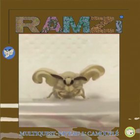 RAMZi - Multiquest Niveau 1: Camoufle
