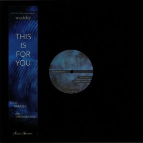 Theo Parrish - This Is For You