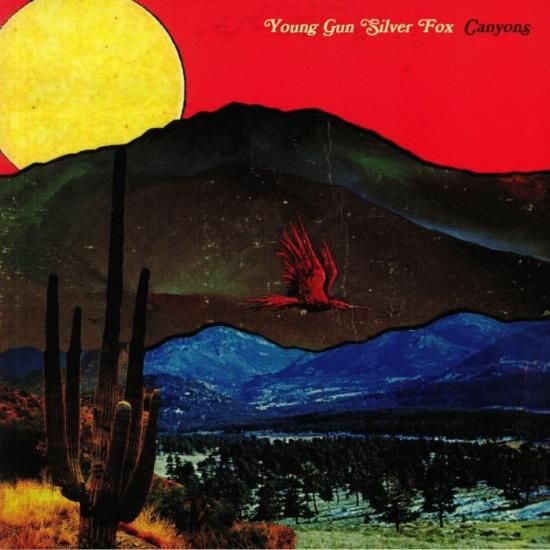 YOUNG GUN SILVER FOX『Pleasure』LP