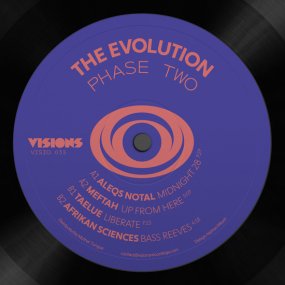 V.A. - The Evolutions Phase Two