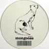 Sasha - Mongoose