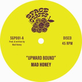 Mad Honey - Upward Bound / Treasure Every Sunset