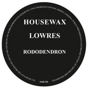 Lowres - Rododendron