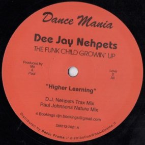 Dee Jay Nehpets - The Funk Child Growin' Up