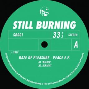 Raze Of Pleasure - Peace EP