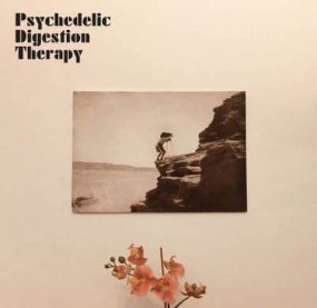 Psychedelic Digestion Therapy - Psychedelic Digestion Therapy