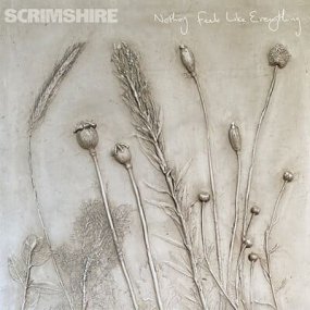 Scrimshire - Nothing Feels Like Everything