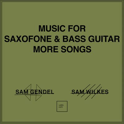 Sam Gendel and Sam Wilkes - Music for Saxofone and Bass Guitar 