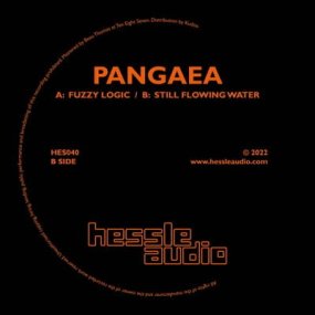 Pangaea - Fuzzy Logic / Still Flowin 