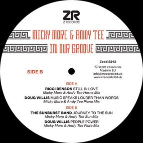 Micky More & Andy Tee - In Our Groove Sampler