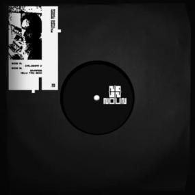 Mr. Fingers - Cerebral Hemispheres - Lighthouse Records Webstore