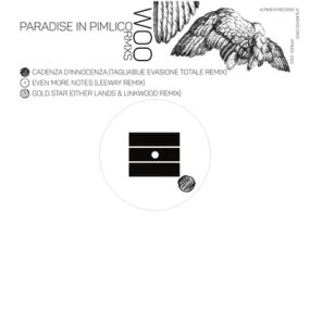 Woo - Paradise in Pimlico Remixes 