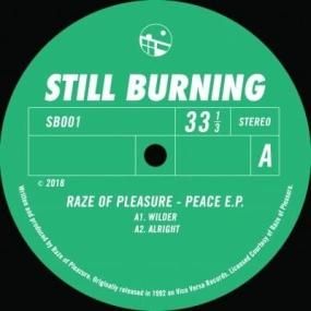 Massive Attack - Massive Attack vs Mad Professor Part II